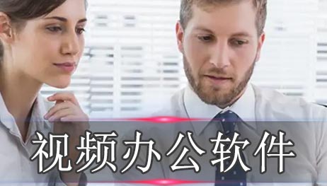 专业级视频办公软件