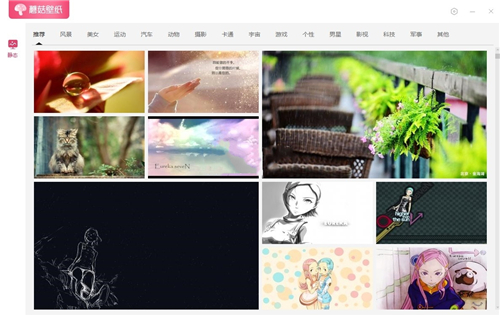 蘑菇壁纸1.0.9.21014