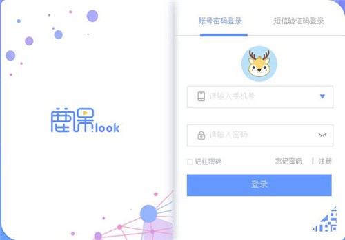 鹿课Look截图3