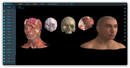 医维度3D解剖教学软件