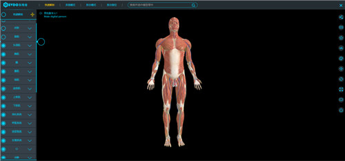 医维度3D解剖教学软件