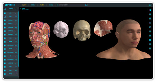 医维度3D解剖教学软件