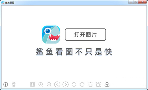 鲨鱼看图