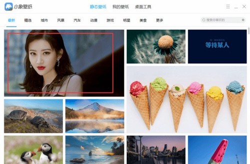 小象壁紙1.0.0.6截圖