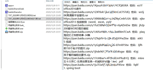 网盘导出助手1.0