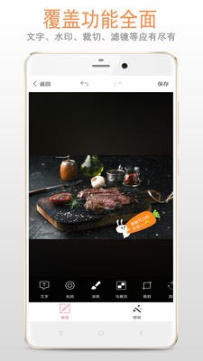 圖片加文字大師截圖