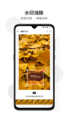 閃電去水印截圖