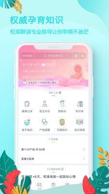 好孕媽截圖