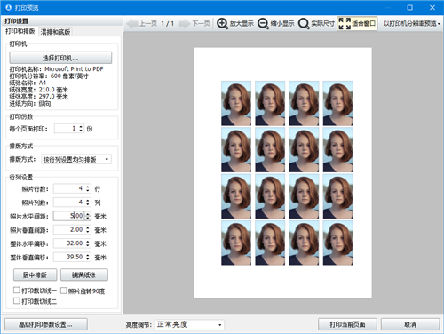 神奇证件照片打印软件