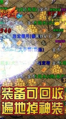 獨(dú)家神器單職業(yè)截圖
