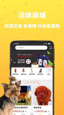 吉寵巴士截圖