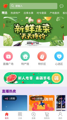 和游加速器