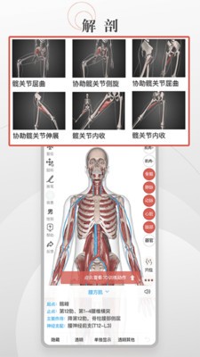 3D運動健康截圖