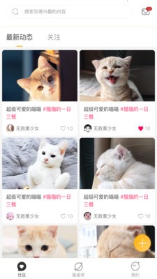 云養(yǎng)貓截圖