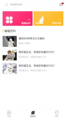 云養(yǎng)貓截圖
