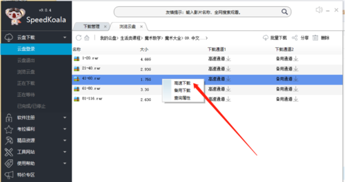 speedkoalabd云加速