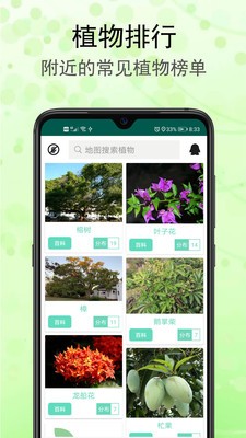 識(shí)花草截圖