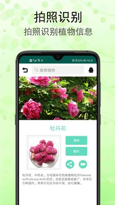 識(shí)花草截圖