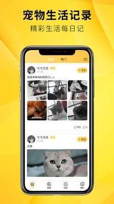 毛寵團(tuán)截圖