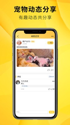 毛寵團(tuán)截圖
