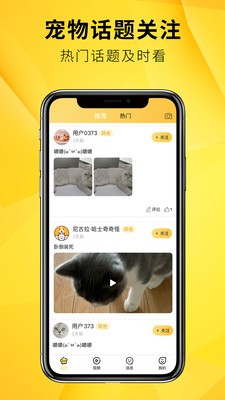 毛寵團(tuán)截圖