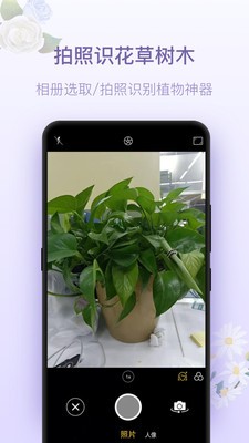 拍照識花神器截圖