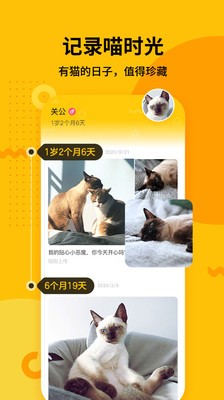 爪嘰app截圖