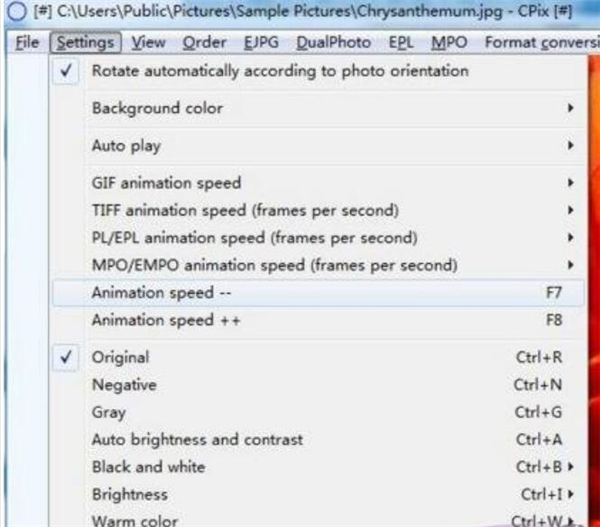 Cpix图片浏览工具