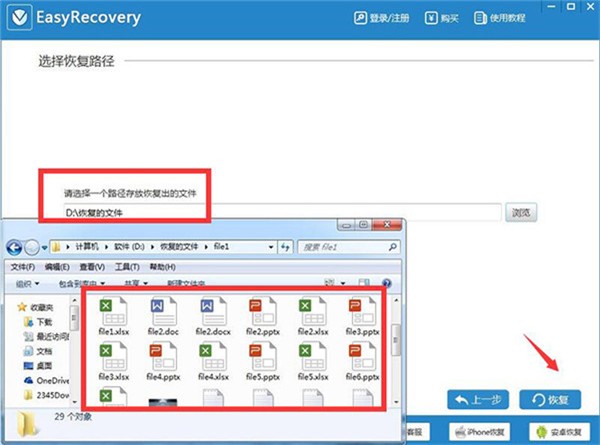 easyrecovery pro截圖