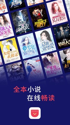 口袋小說閱讀截圖