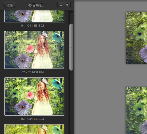 Color Efex Pro濾鏡調(diào)配工具截圖
