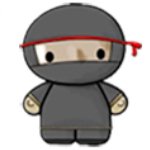 System Ninja