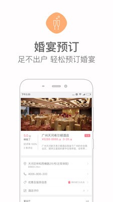 婚禮貓截圖