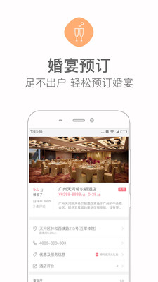 婚禮貓