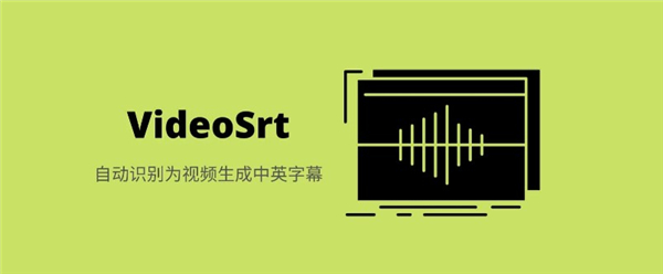 VideoSrt