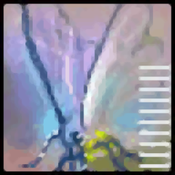 Exif Pilot