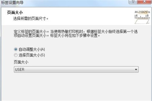 nicelabel pro截圖