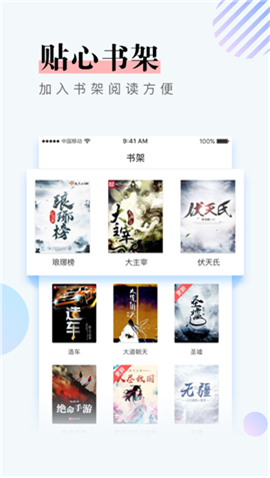 流星雨小說