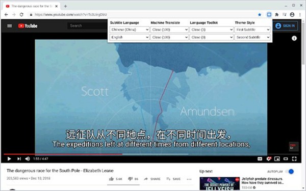Dualsub截圖