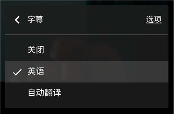 Dualsub截圖