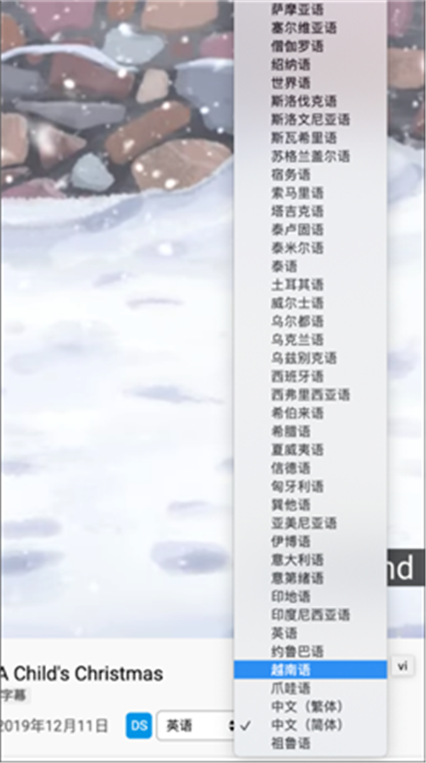 Dualsub截圖