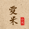 愛米小說