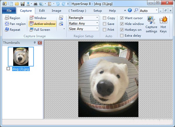 HyperSnap8截圖