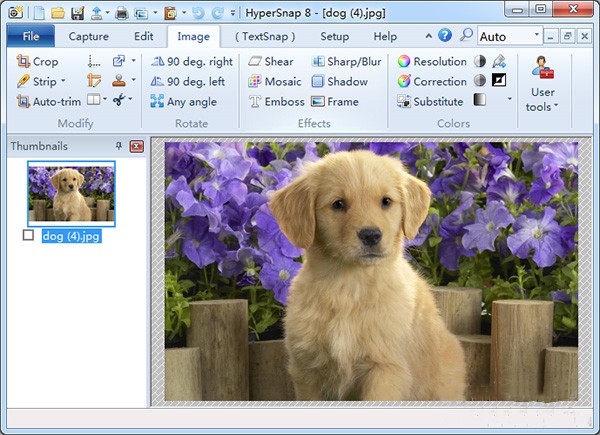 HyperSnap8截圖