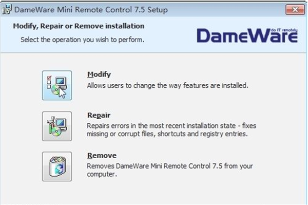 DameWare截圖