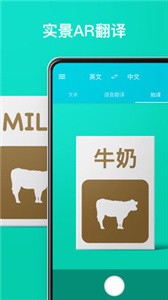 有道翻譯官截圖