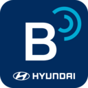 BlueLink