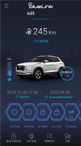 BlueLink