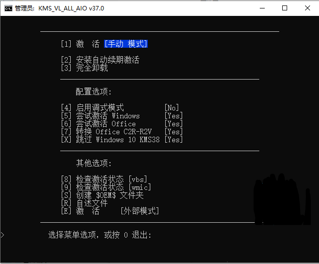 KMS_VL_ALL_AIO截圖