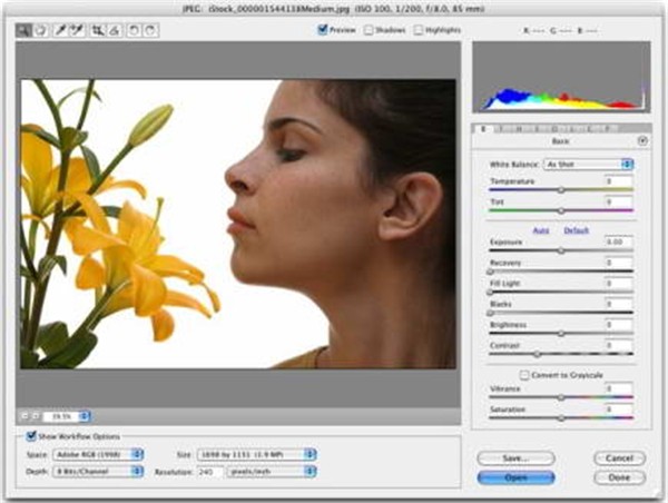 Adobe Camera Raw截圖